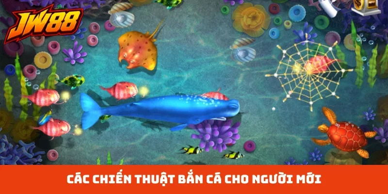 chiến thuật bắn cá cho người mới