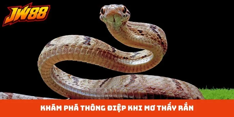 Khám phá thông điệp khi mơ thấy rắn