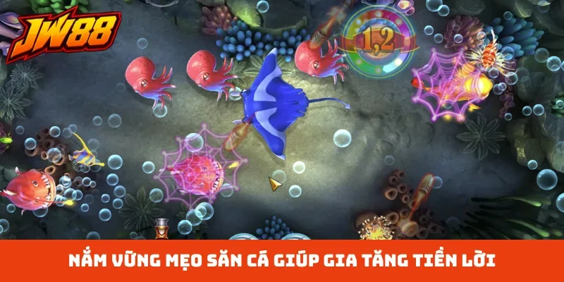 Nắm vững mẹo săn cá giúp gia tăng tiền lời
