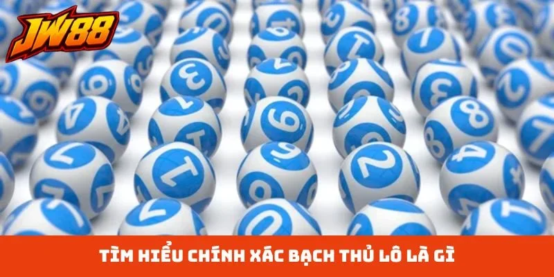 Tìm hiểu chính xác bạch thủ lô là gì